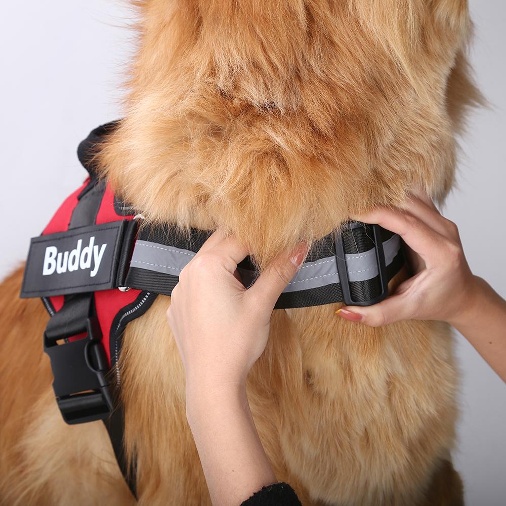 VERDANAE - CUSTOM FIT NO-PULL DOG HARNESS