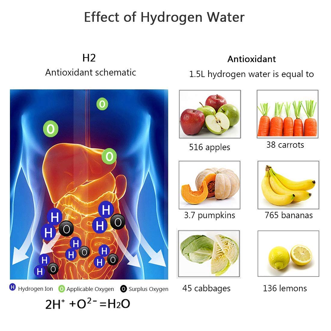 VERDANAE - HYDROGEN WATER BOTTLE