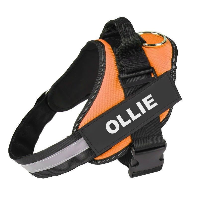 VERDANAE   - CUSTOM FIT NO-PULL DOG HARNESS