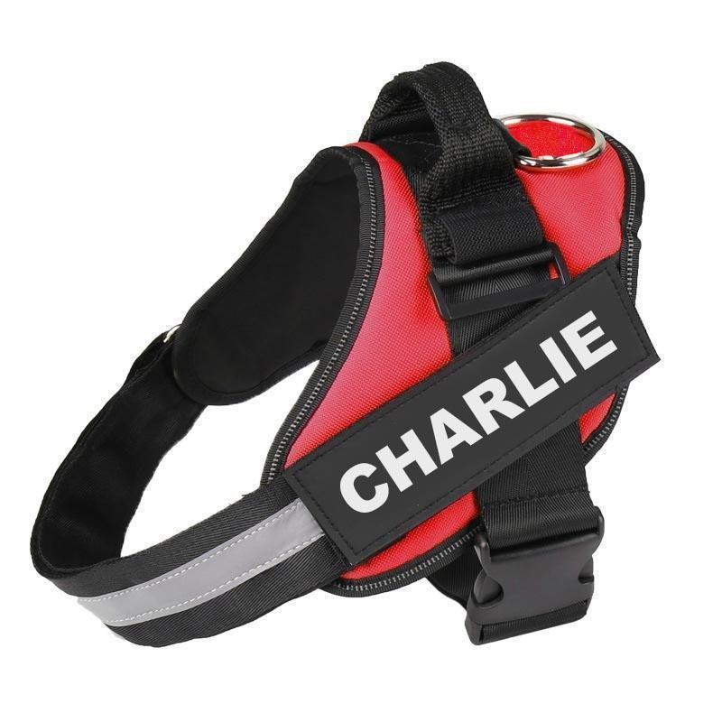 VERDANAE   - CUSTOM FIT NO-PULL DOG HARNESS