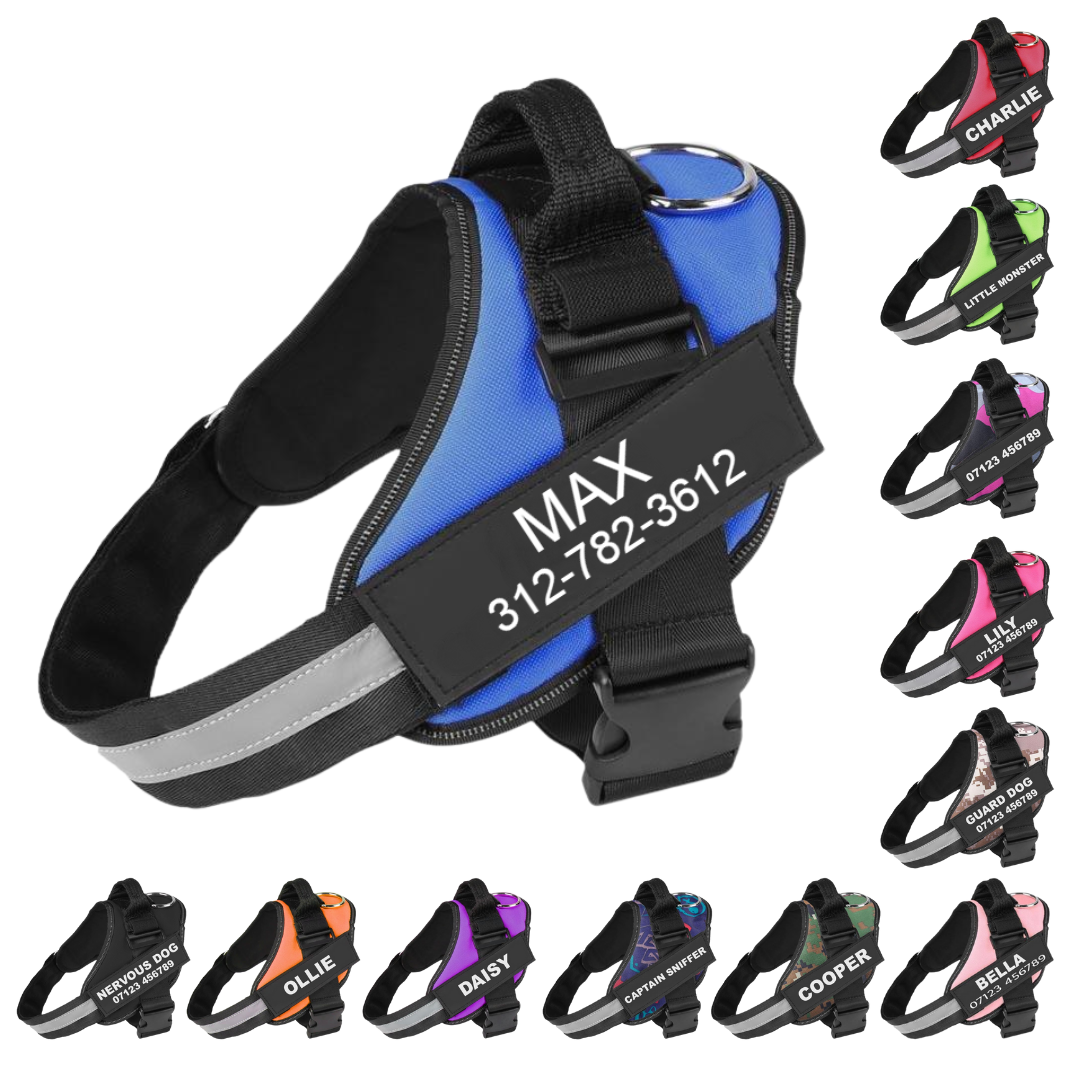 VERDANAE   - CUSTOM FIT NO-PULL DOG HARNESS