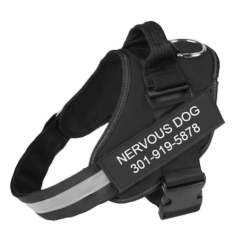 VERDANAE   - CUSTOM FIT NO-PULL DOG HARNESS