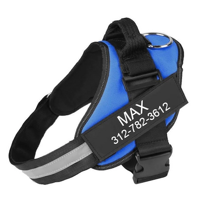 VERDANAE   - CUSTOM FIT NO-PULL DOG HARNESS