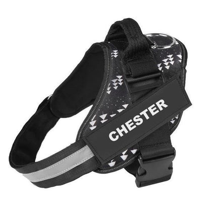 VERDANAE   - CUSTOM FIT NO-PULL DOG HARNESS