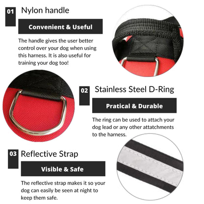 VERDANAE   - CUSTOM FIT NO-PULL DOG HARNESS