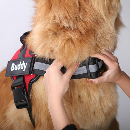VERDANAE   - CUSTOM FIT NO-PULL DOG HARNESS