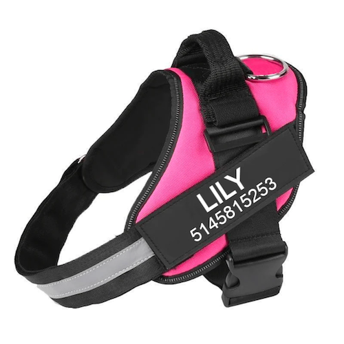 VERDANAE   - CUSTOM FIT NO-PULL DOG HARNESS